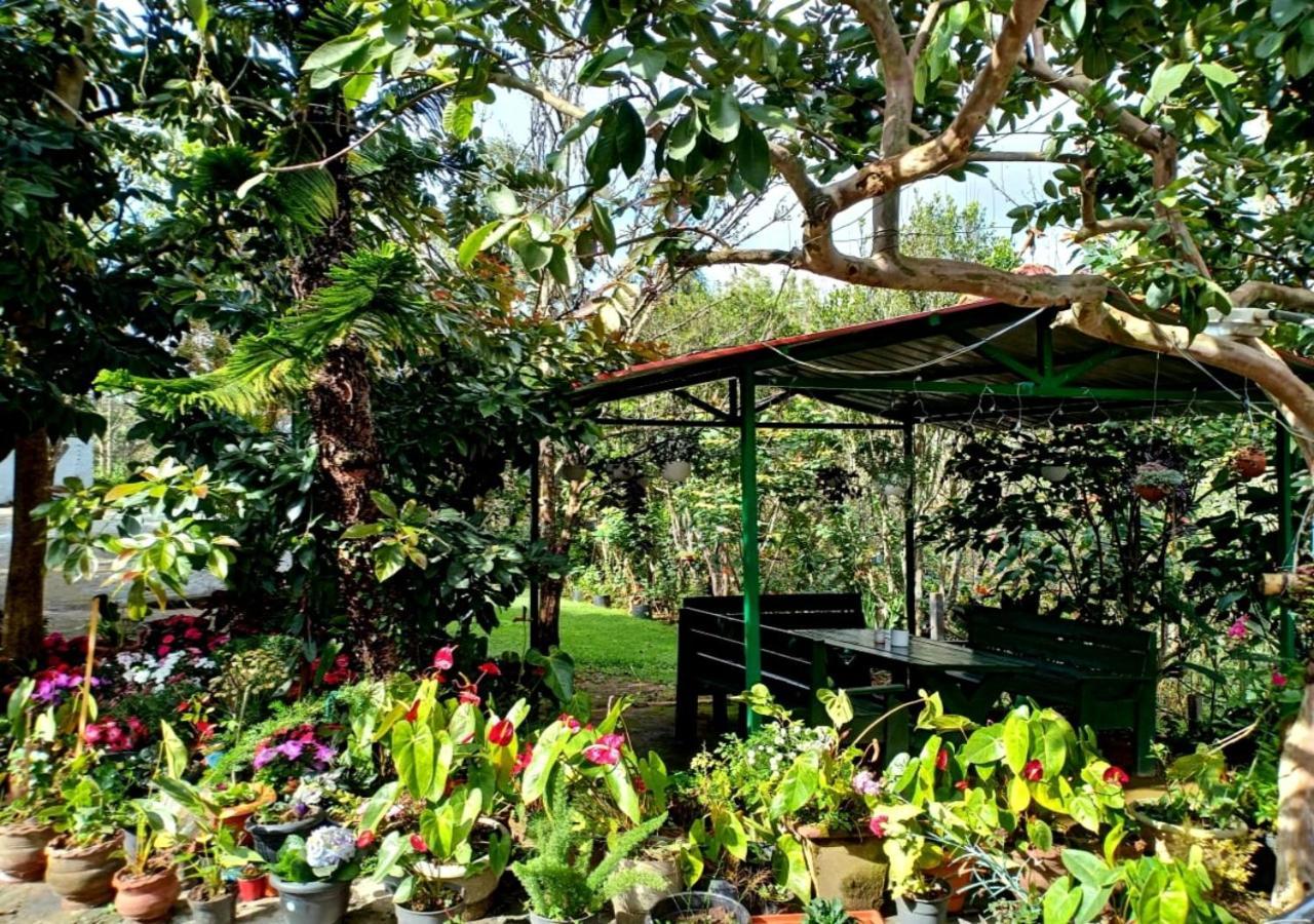Silver Spruce Entire Nature Villa Kotagiri Ngoại thất bức ảnh