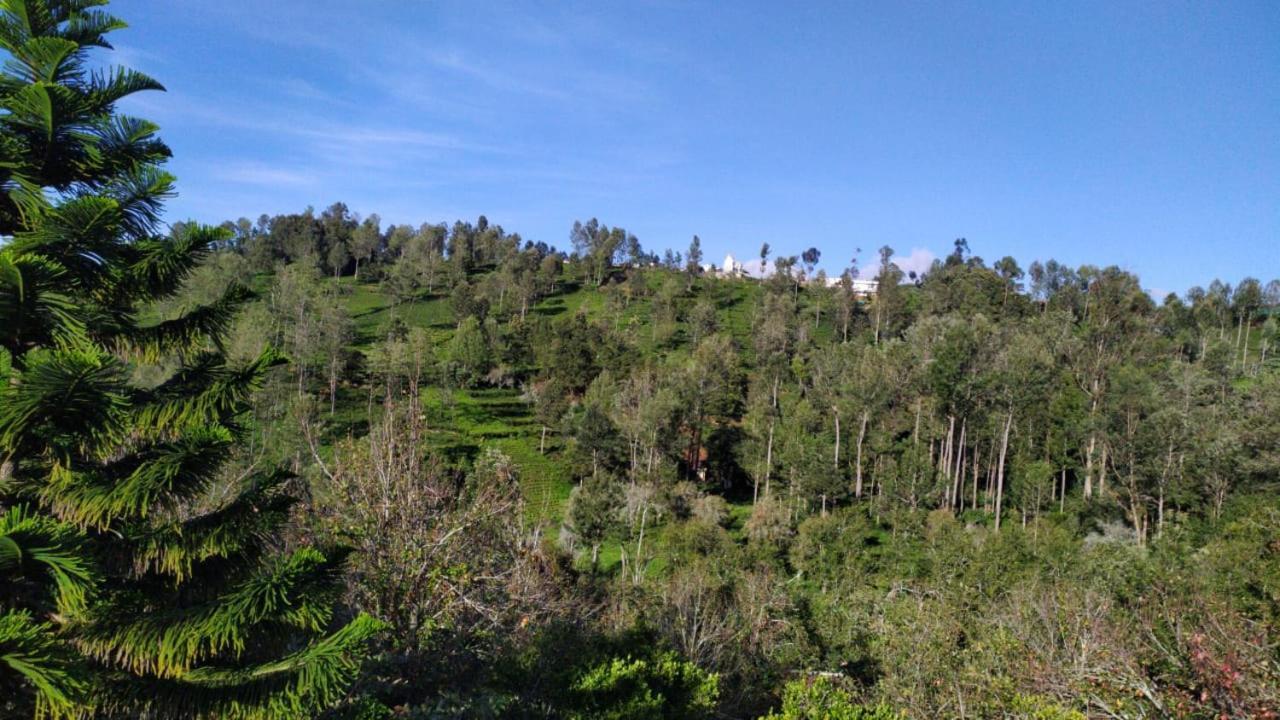 Silver Spruce Entire Nature Villa Kotagiri Ngoại thất bức ảnh