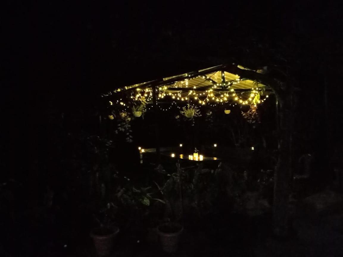Silver Spruce Entire Nature Villa Kotagiri Ngoại thất bức ảnh
