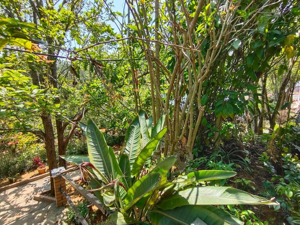 Silver Spruce Entire Nature Villa Kotagiri Ngoại thất bức ảnh