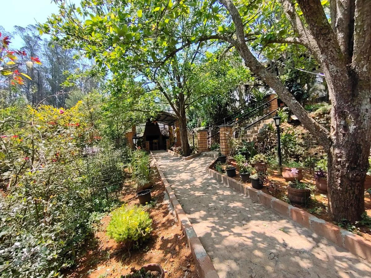 Silver Spruce Entire Nature Villa Kotagiri Ngoại thất bức ảnh