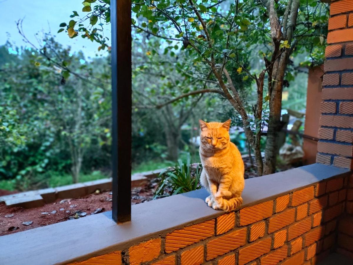 Silver Spruce Entire Nature Villa Kotagiri Ngoại thất bức ảnh