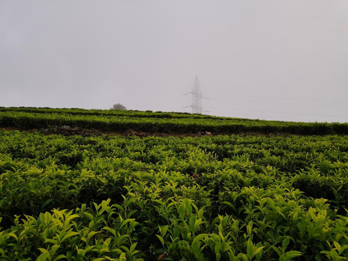Silver Spruce Entire Nature Villa Kotagiri Ngoại thất bức ảnh
