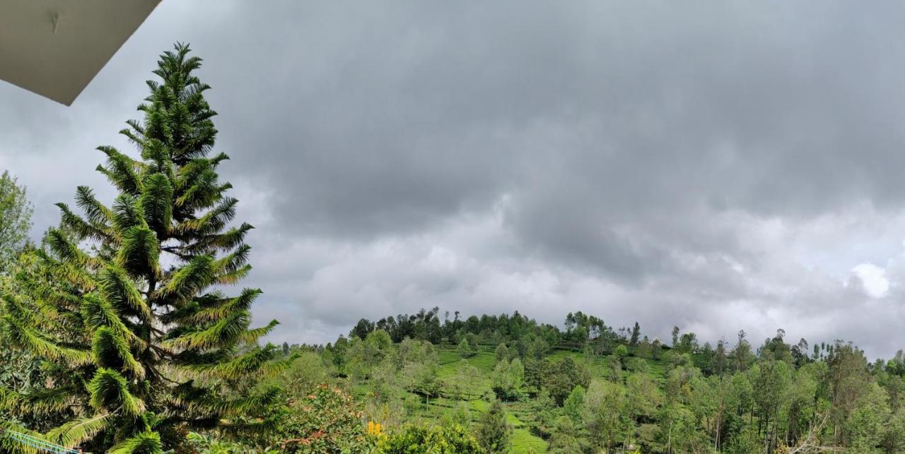 Silver Spruce Entire Nature Villa Kotagiri Ngoại thất bức ảnh