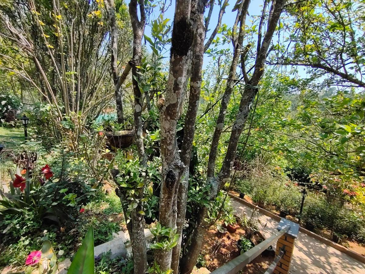 Silver Spruce Entire Nature Villa Kotagiri Ngoại thất bức ảnh