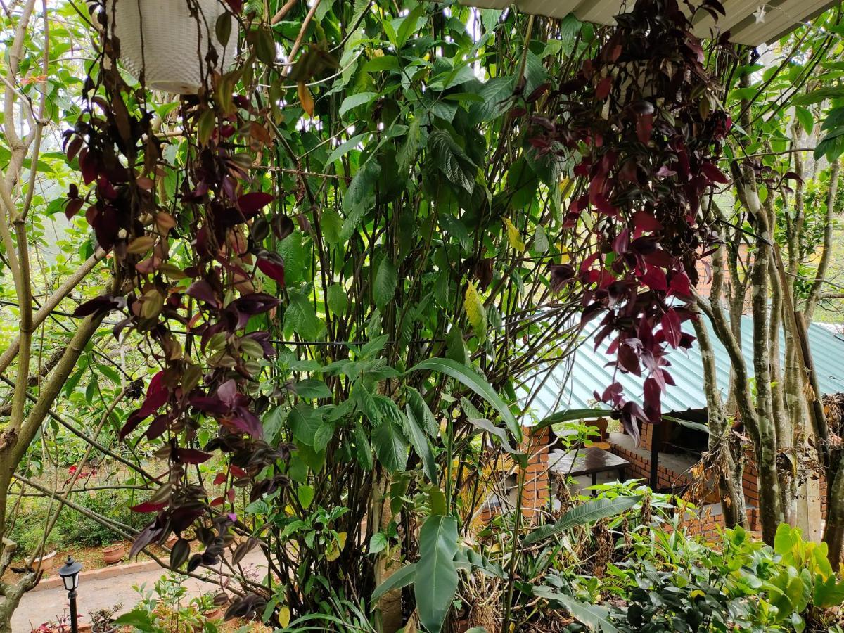 Silver Spruce Entire Nature Villa Kotagiri Ngoại thất bức ảnh
